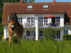 Cosy apartment in Garz, Garz/Rügen